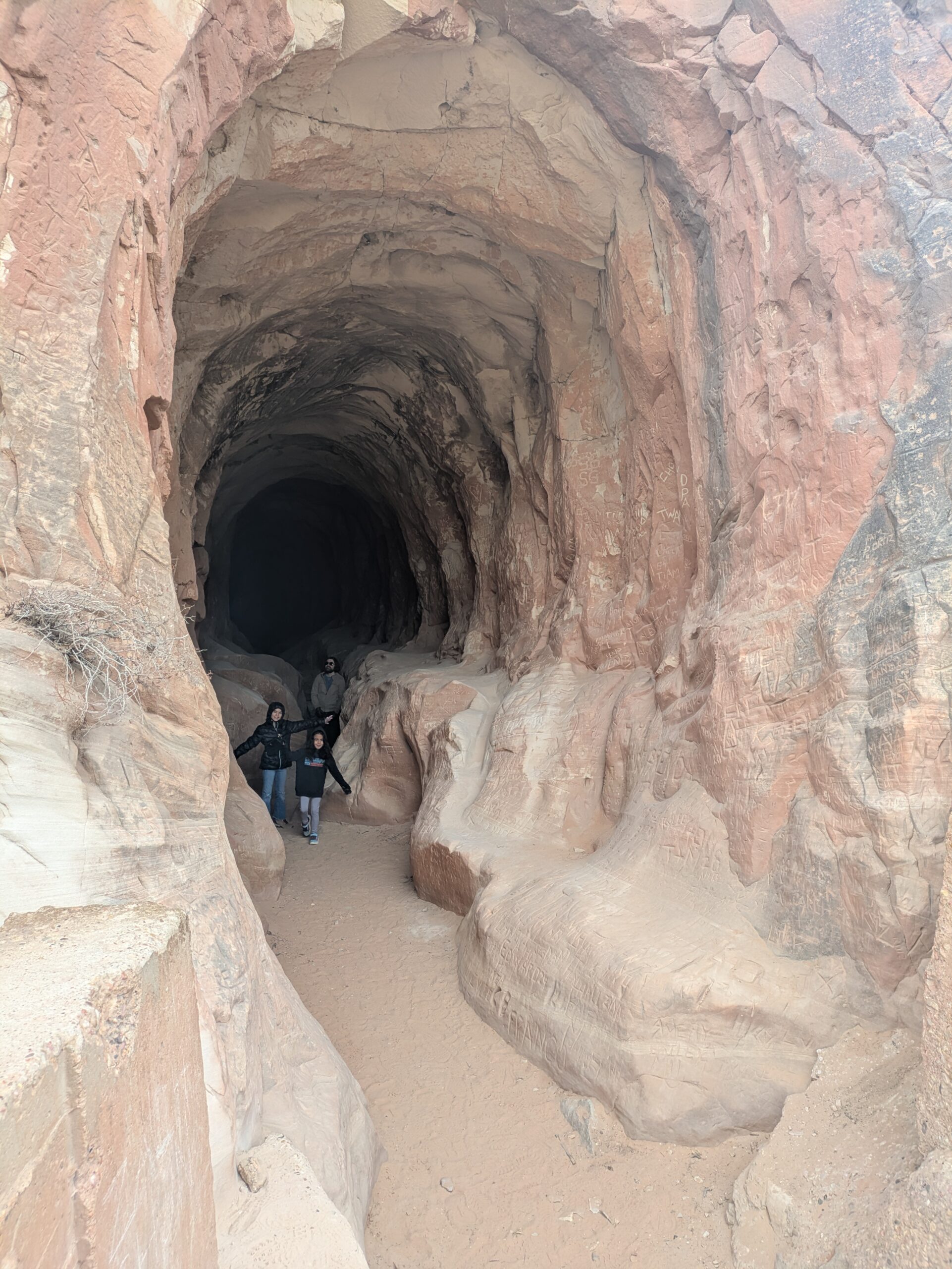 PXL_20250203_163059502 (1)