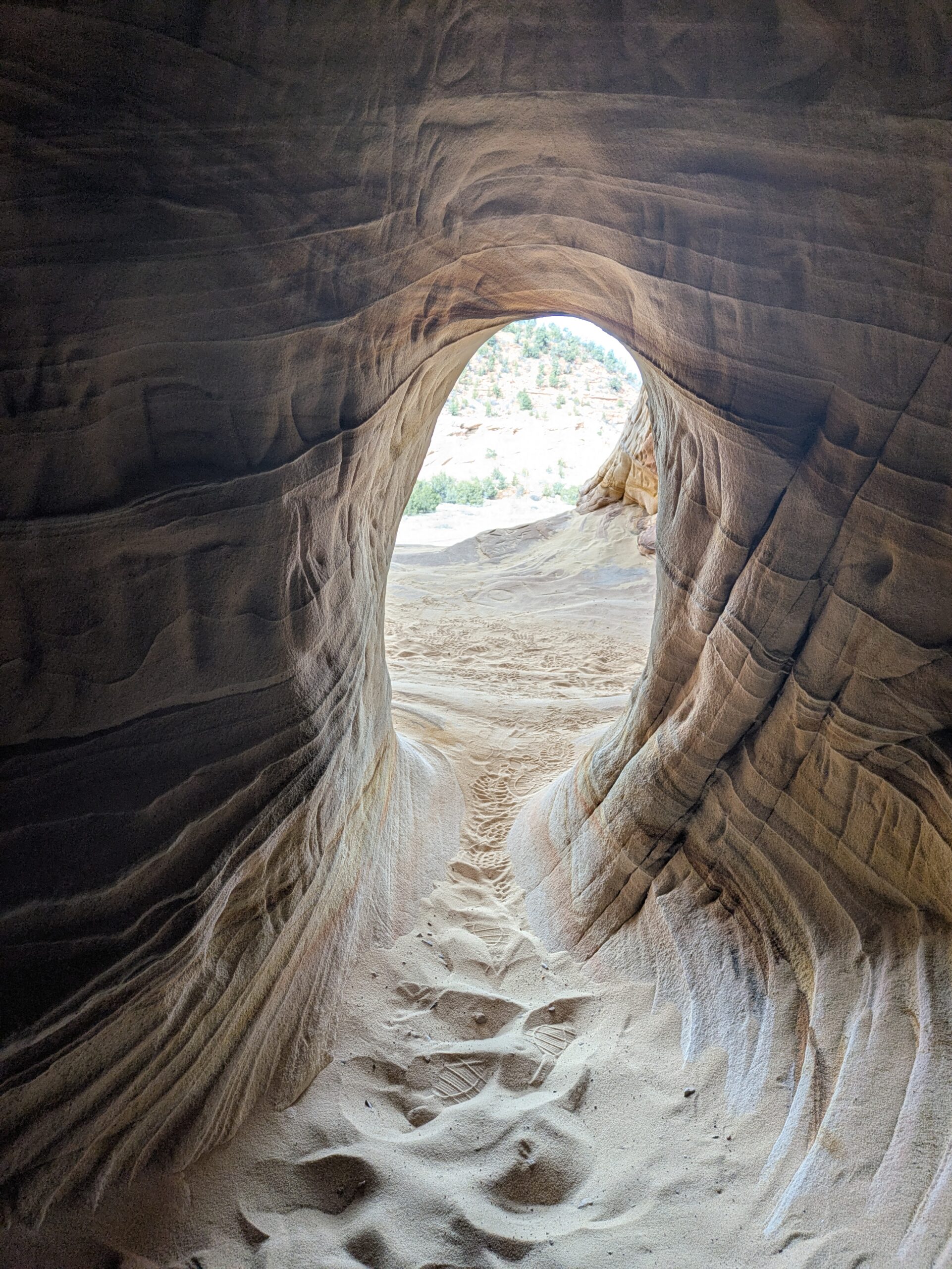 PXL_20250203_172631310.MP (1)