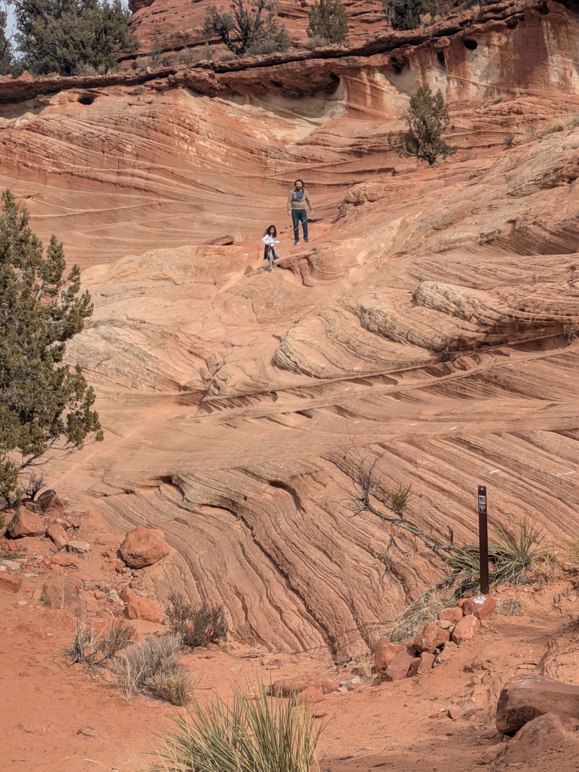 PXL_20250203_173605195