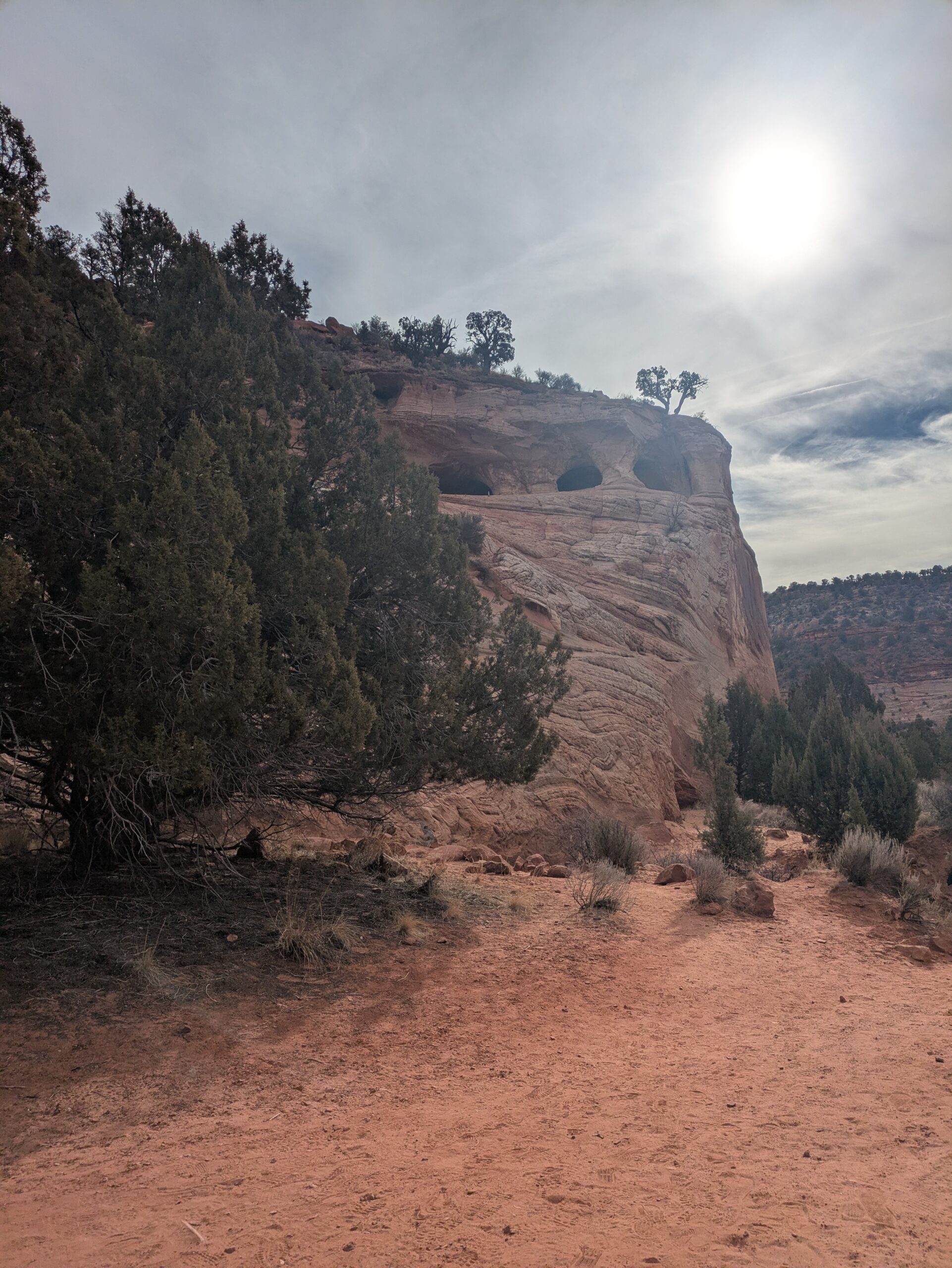 PXL_20250203_173945946