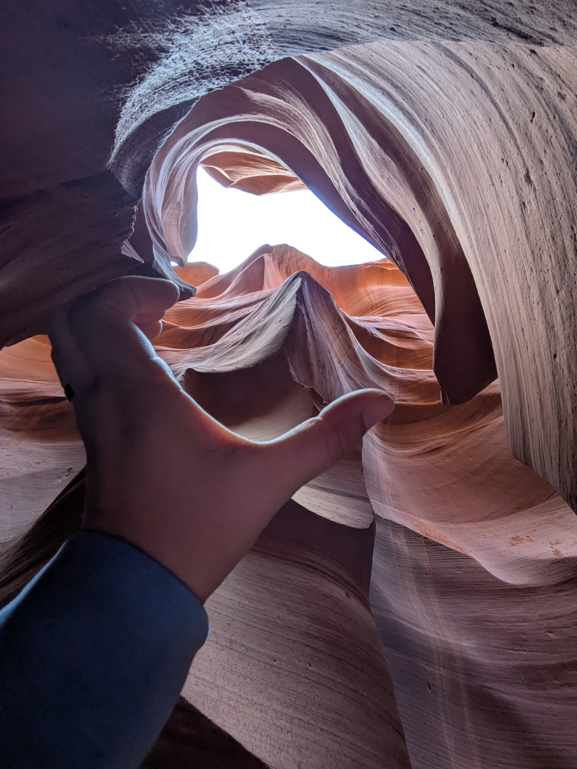 PXL_20250204_162401617 (1)