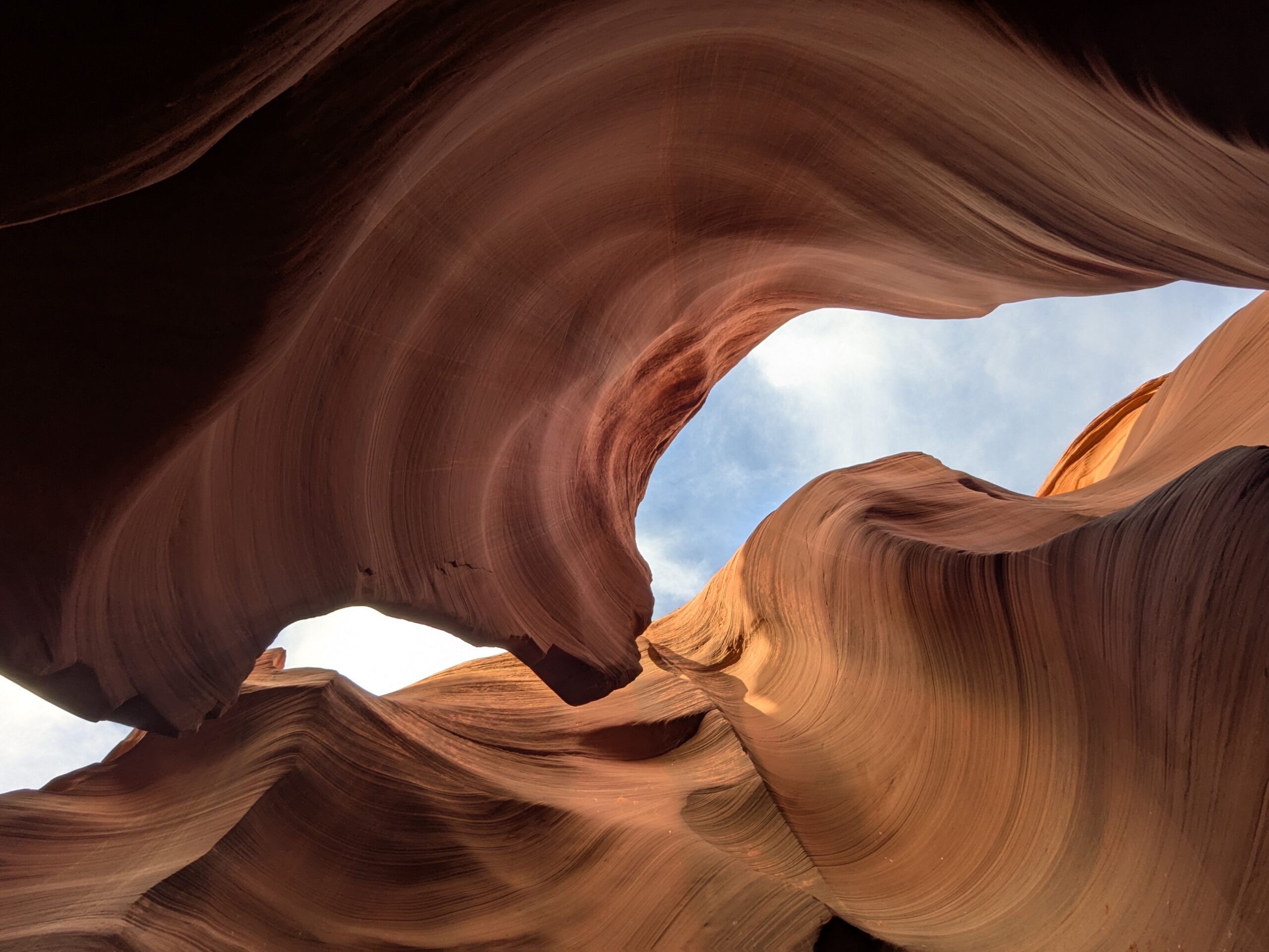 PXL_20250204_162831430.MP (1)