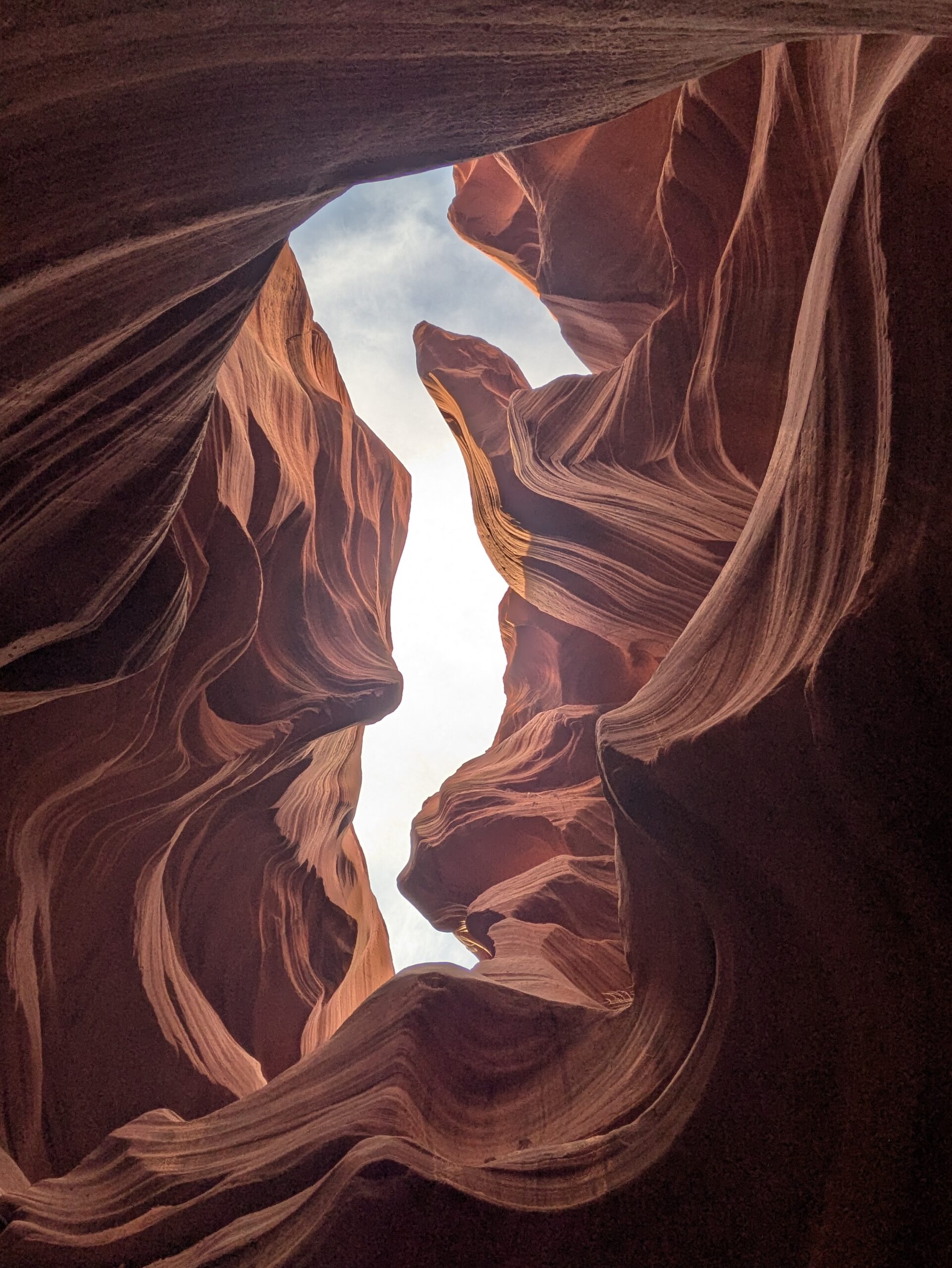 PXL_20250204_165049365