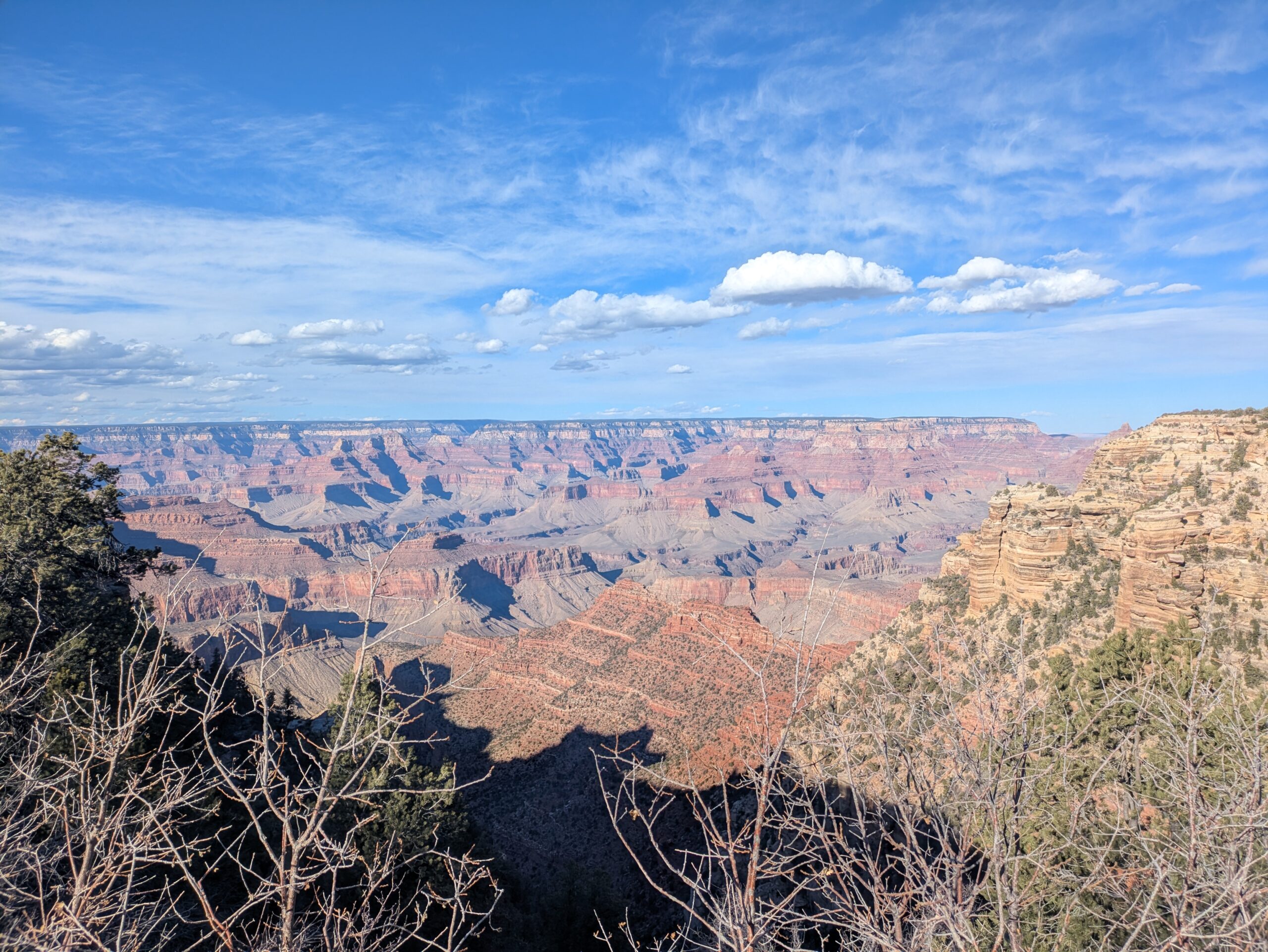 PXL_20250204_223409987