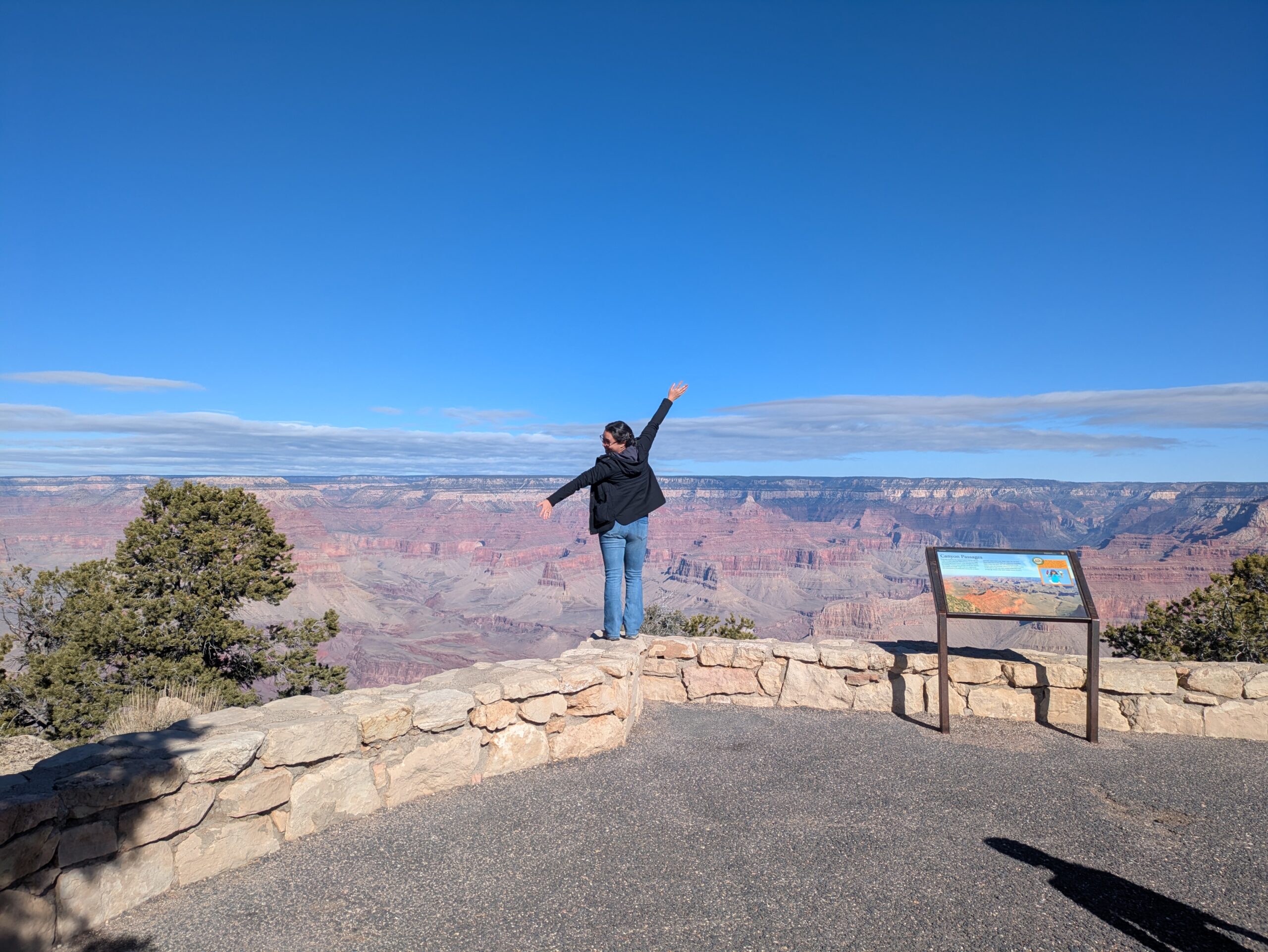 PXL_20250205_180322714 (1)