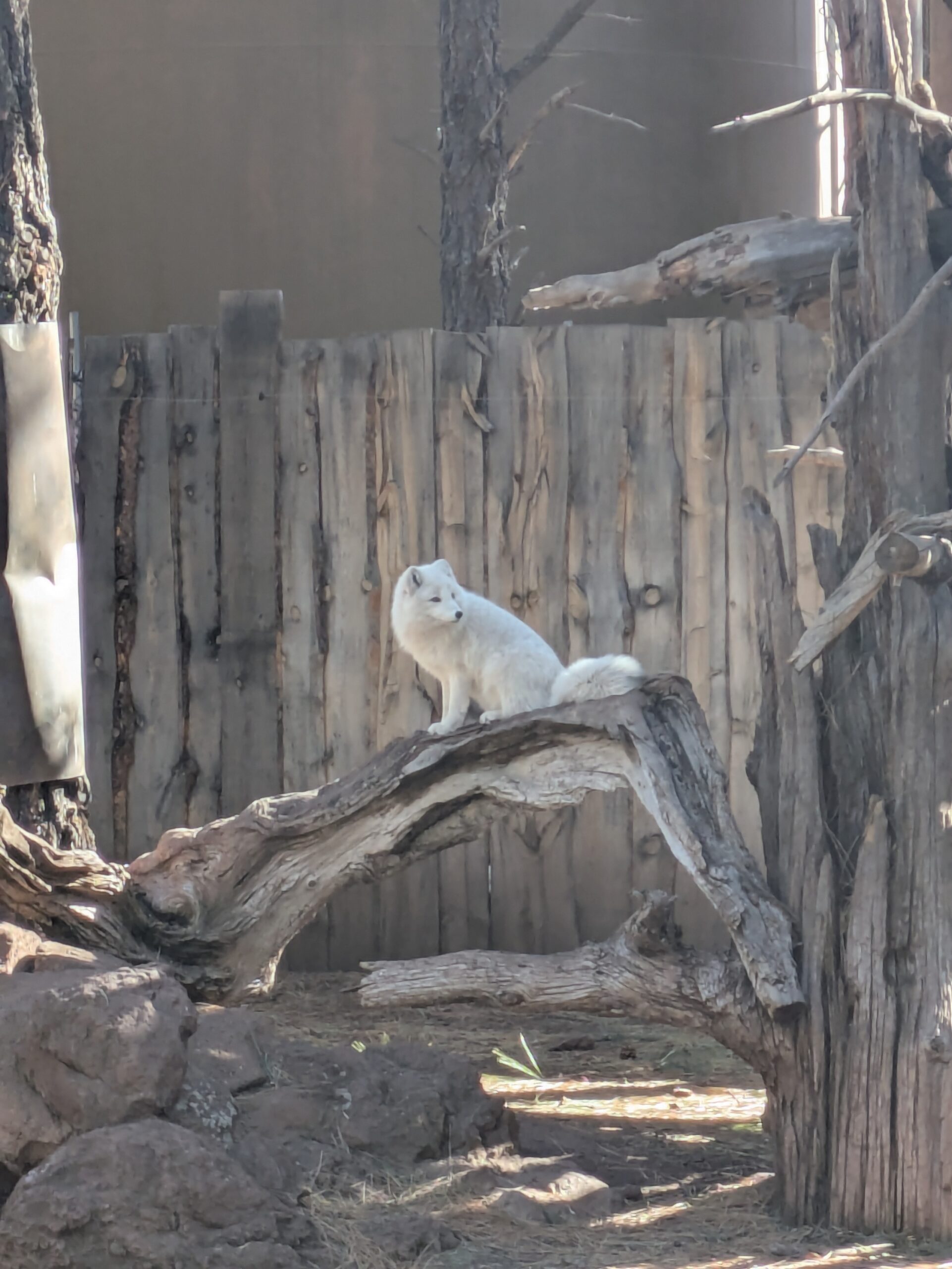 PXL_20250206_173100621 (1)