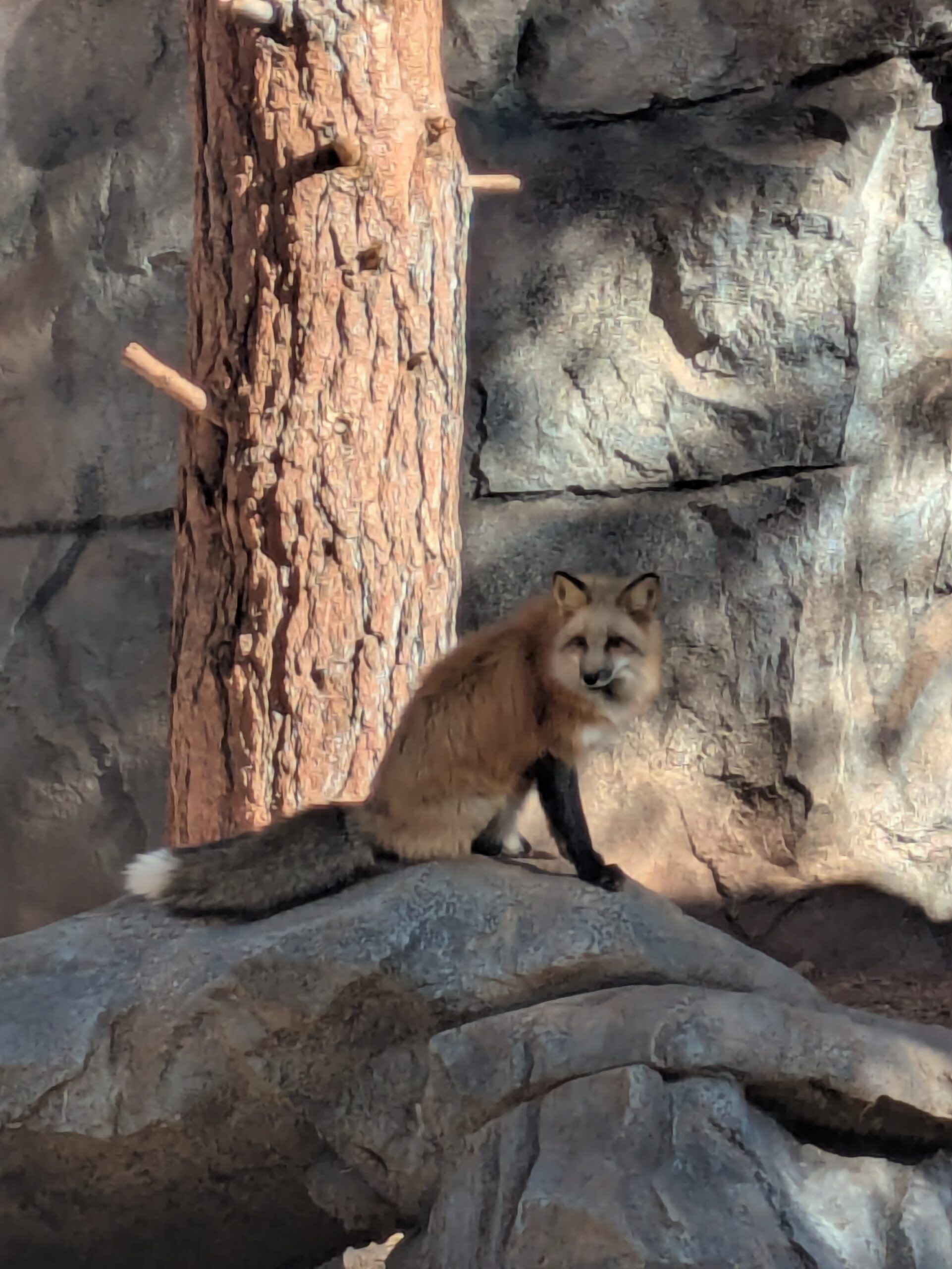 PXL_20250206_173515361 (1)